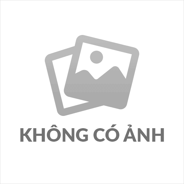 HỘI ĐỒNG HÒA BÌNH VÀ PHÁT TRIỂN VIỆT NAM TRONG GIAI ĐOẠN PHÁT TRIỂN MỚI